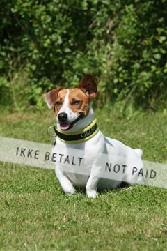 130370_se_02_IMG_6155.JPG