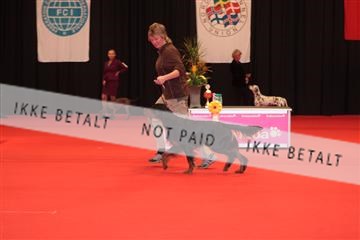 126827_tl_04_IMG_0139.JPG