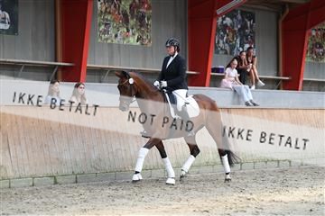 181867_mtp_01_R62_4021.JPG