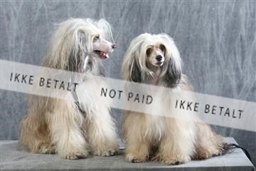 129608_le_ 01_0610.JPG