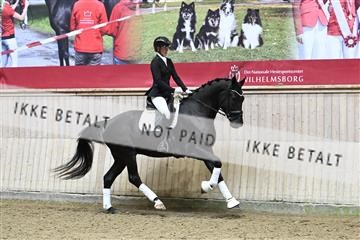 182241_kbb_01_Z095055.JPG