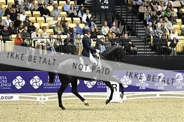 182194_kbb_03_Z092573.JPG