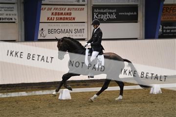 140040_abo_01__AB18130.JPG