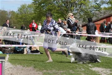 134871_ms_04_IMG_0593.JPG