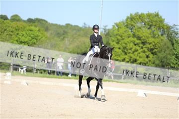 168732_mtp_01_3M5A8309.JPG
