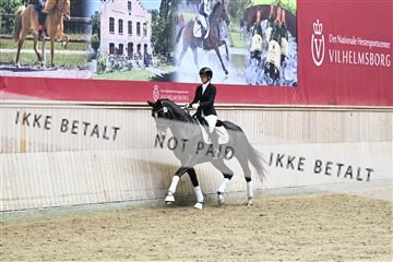 182241_kbb_01_Z094527.JPG