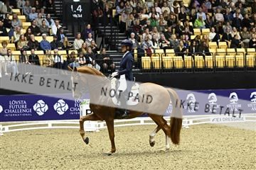 182194_kbb_03_Z091875.JPG