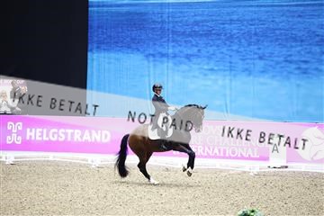 182194_avh_05_2332.JPG