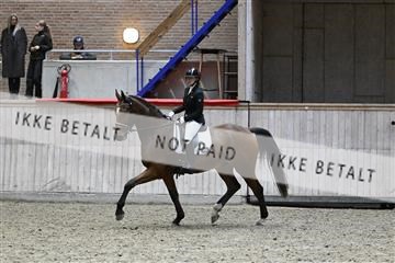 182241_kbb_01_Z095285.JPG
