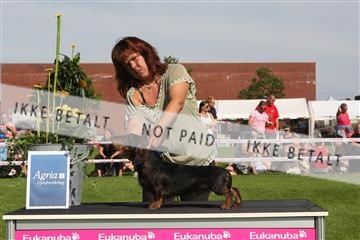 130370_se_02_IMG_6503.JPG
