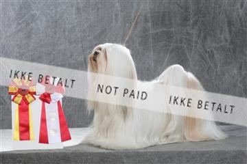 130054_le_ 01_0252.JPG