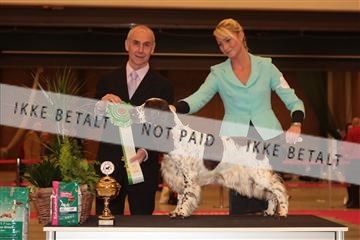 124188 _tl_02_IMG_9749.JPG