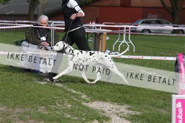 134871_ms_04_IMG_1783.JPG