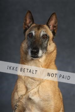 132082_le_ 01_IMG_0864.JPG