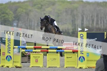 139644_abo_01__AB14373.JPG