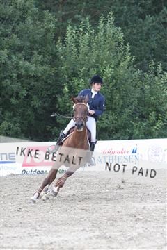 5350_sme _01_IMG_4388.JPG