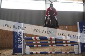139206_kl_1_8M1Q5144.JPG