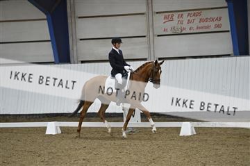 140040_abo_02__AB18792.JPG