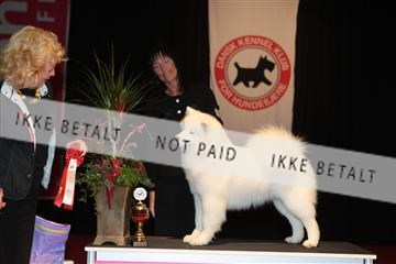 126827_tl_02_IMG_2842.JPG