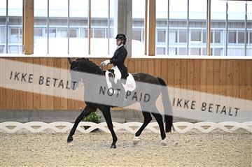182176_kbb_01_Z094403.JPG