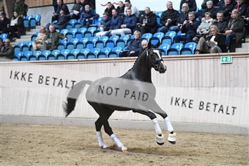 164516_kuo_01_D05_1430.JPG