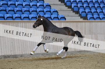 139327_abo_01__AB10326.JPG