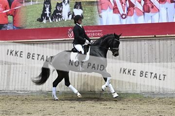 182241_kbb_01_Z093145.JPG
