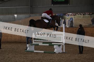 139206_kl_1_8M1Q5247.JPG