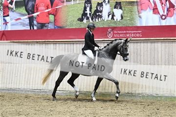 182241_kbb_01_Z093516.JPG