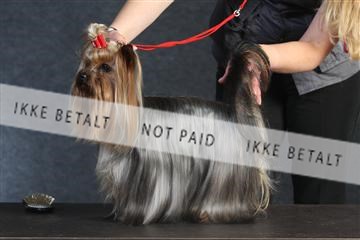 132082_le_ 01_IMG_0347.JPG