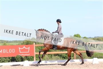 181449_bc_01R62_6099.JPG