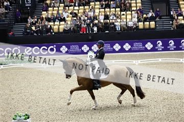 182194_avh_05_2882.JPG