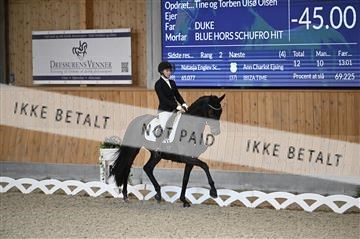 182176_kbb_01_Z093157.JPG