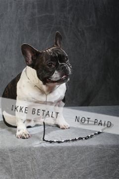 130054_le_ 01_0202.JPG