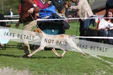 134871_ms_01_IMG_3970.JPG