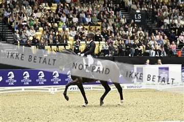 182194_kbb_03_Z092351.JPG