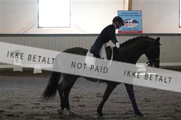 139267_kl_1_8M1Q6968.JPG