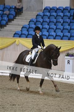 139403_ms_01__MS18299.JPG