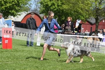 134871_ms_04_IMG_0306.JPG