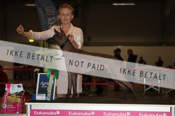 133496_ms_01_IMG_9377.JPG