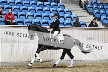 182241_kbb_01_Z093545.JPG