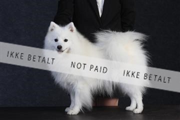 132082_le_ 01_IMG_0456.JPG