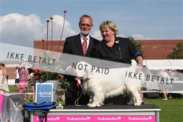 130370_se_03_IMG_7850.JPG