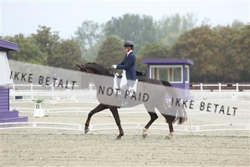 181923_mtp_04_R62_8287.JPG