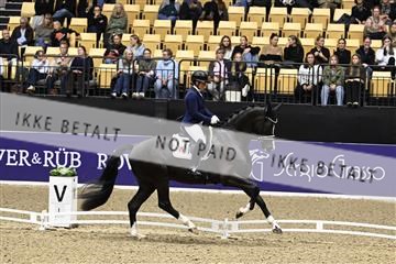 182194_kbb_03_Z091353.JPG