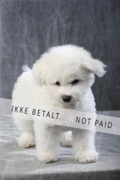 129608_le_ 01_0562.JPG