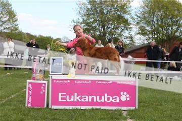 134871_ms_04_IMG_0351.JPG