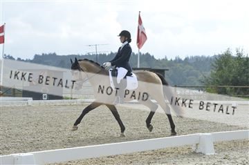 169624_kbb_01__KBB8366.JPG