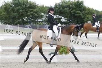 166078_rhj_01__J7R3375.JPG