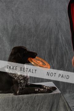 128239_le_kort_ 01_0047.JPG